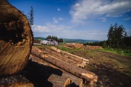 Rallye Český Krumlov: Nádherná krajina v okolí Lipna nad Vltavou